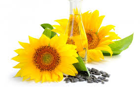 SUNFLOWER OIL - Carrier & Vegetable Oil